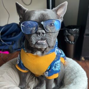 Meet your Posher, Antonino